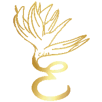 Fair Trade New Post Sticker by Moodular by Eden