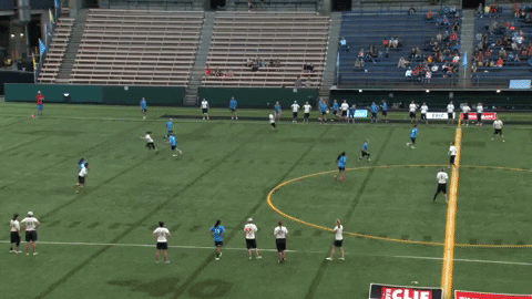 flikulti ultimate frisbee flik GIF