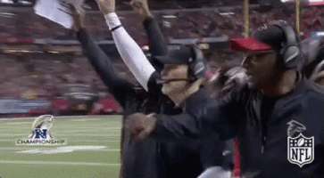 atlanta falcons GIF by NFL