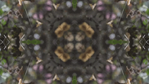 Art Love GIF by jorgemariozuleta