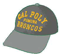 Baseball Hat Sticker by Cal Poly Pomona