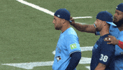 Blue Jays Baseball GIF by Toronto Blue Jays
