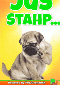PetJuvenate petjuvenate henlo hooman fren love rescue dogs treatos and woofer for pupper GIF