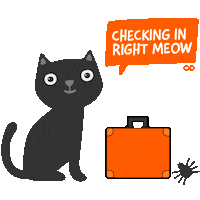 black cat Sticker by Aeroplan