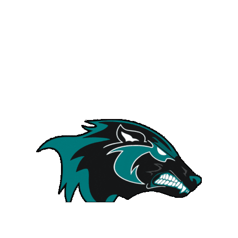 AlisoNiguelFootball giphygifmaker teal anhs aliso football Sticker