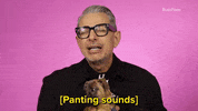 Jeff Goldblum Dog GIF by BuzzFeed
