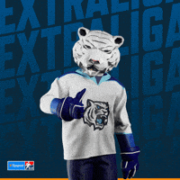 Hockey Hokej GIF by Tipsport extraliga