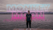 Monkey Rl GIF by Team BDS