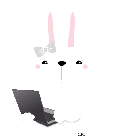 cicagentur giphyupload wow nice bunny Sticker