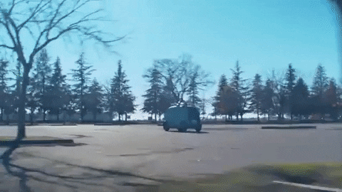 Sansuste giphygifmaker GIF