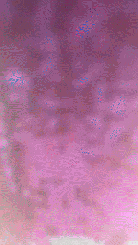 Gamer Lol GIF by Youtooz