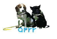 아르르 Sticker by arrr_official