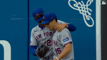 Juan Soto Baseball GIF by New York Mets