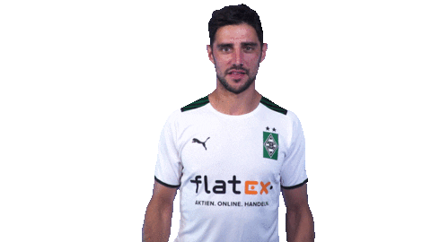 Lars Stindl Bundesliga Sticker by Borussia Mönchengladbach