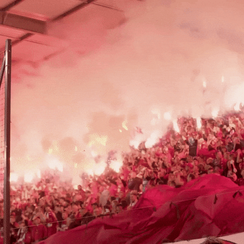 Football Club GIF by Widzew Łódź
