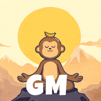Zen Monkey GIF by Wise Monkey Meme