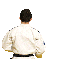 Celebration Retourner Sticker by France Judo