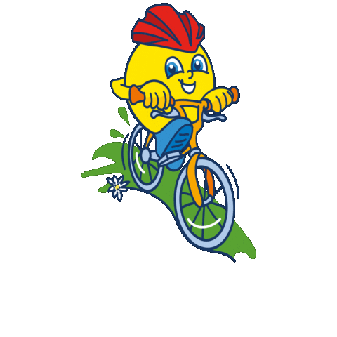 Bike Velo Sticker by WiegederSchweiz