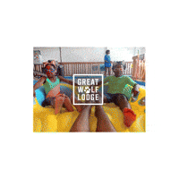 Water Park GIF by Great Wolf Lodge