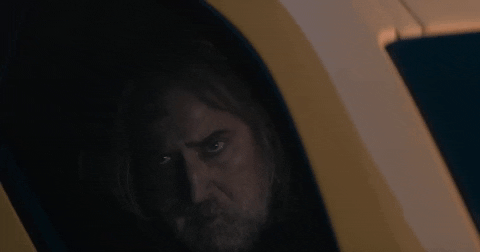 Nic Cage Pig GIF by NEON
