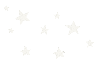 Star Sticker