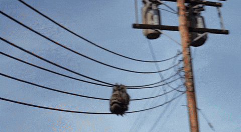 critters GIF by hero0fwar