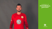 bundesliga wolves GIF by VfL Wolfsburg