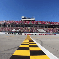 GIF by Richard Childress Racing
