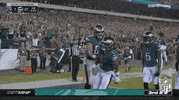 Philadelphia Eagles Football GIF by NFL
