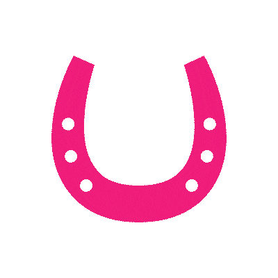 Blinking Horse Shoe Sticker by PONY mag