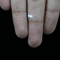 spider GIF by Parth Kothekar