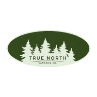 TNCC logo sticker retro green Sticker