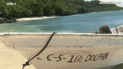 surprise isola13 GIF by Isola dei Famosi