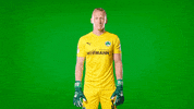 Well Done Yes GIF by SpVgg Greuther Fürth