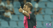 angry ligue 1 GIF by Toulouse Football Club