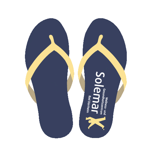 Solemar_BadDuerrheim giphyupload sauna kuba therme Sticker