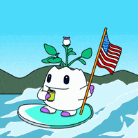 United States Nod GIF by Magic Eden