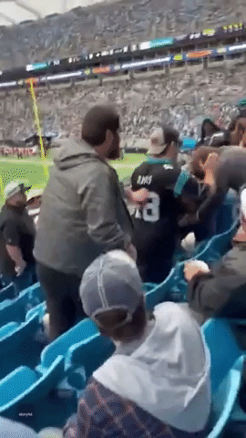 Football Fans Fight at Panthers Game
