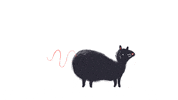 bailycrawford good job success mouse hooray GIF