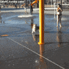 Video gif. Corgi happily runs through a waterpark and gets directly smacked by a pool of water from the bucket dump.