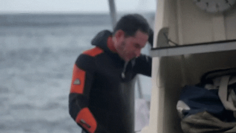 Discovery Greatwhitekillzone GIF by Shark Week