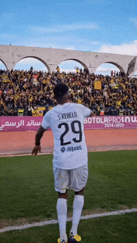 Fes GIF