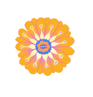 Tom Grennan Flower Sticker by Calvin Harris