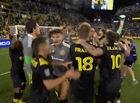 Excited Jump Around GIF by Major League Soccer