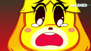 Oh My God Omg GIF by Mashed