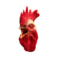 Scream Neu Sticker by plantamedium