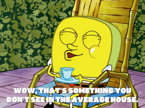 season 6 GIF by SpongeBob SquarePants