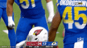 Arizona Cardinals Football GIF by NFL