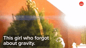 Fail Christmas Tree GIF by BuzzFeed