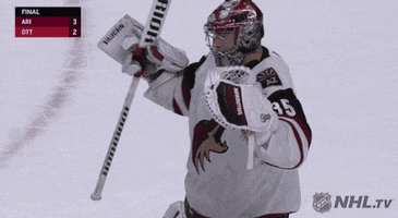 ice hockey hug GIF by NHL